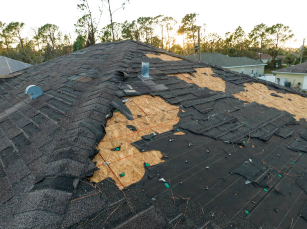 Best Roof Coating Services  in Prospect Heights, IL