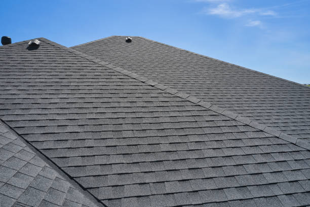 Best Solar Panel Roofing Installation  in Prospect Heights, IL