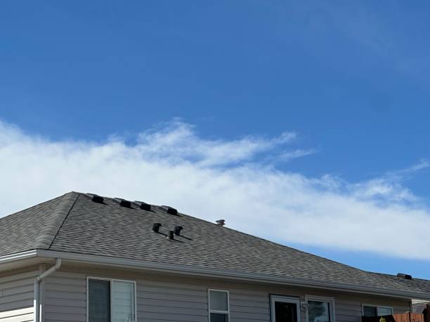 Best Storm Damage Roof Repair  in Prospect Heights, IL